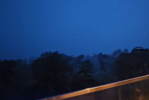 Изображение: скриншот кадра видео ТАСС